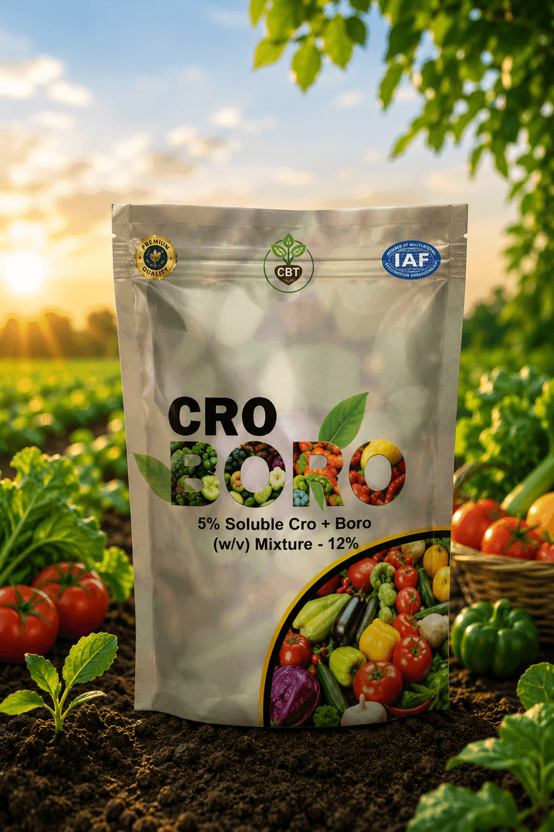 CRO BORO