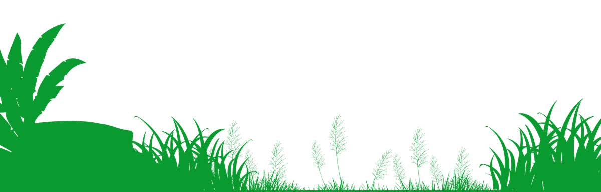 Green Grass and Leaf Silhouette