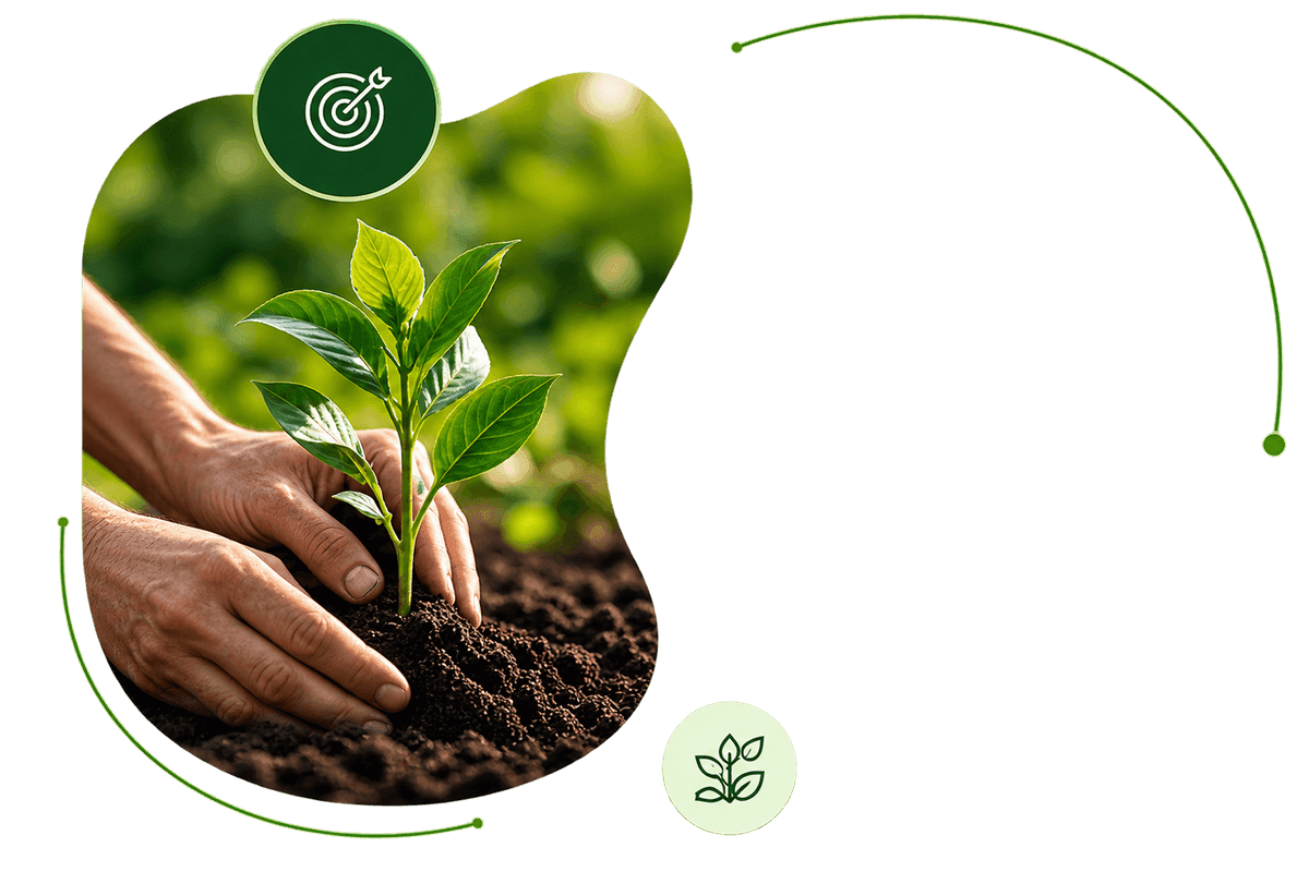 Our Mission - Hands planting seedling