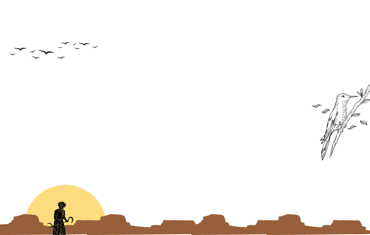 Agricultural landscape illustration