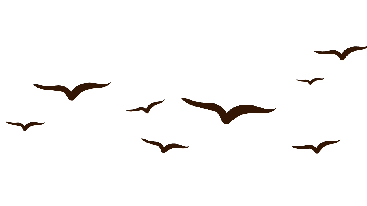 Birds flying